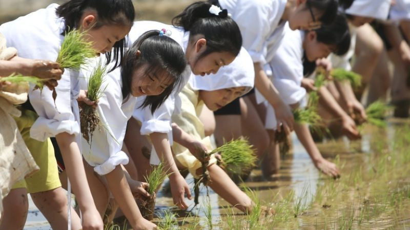 Екзекуции, трудови лагери и публични унижения - идеологическото "образование" в Северна Корея